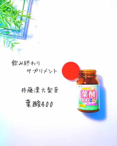 葉酸400 Ca・Feプラス/井藤漢方製薬/健康サプリメントを使ったクチコミ（2枚目）