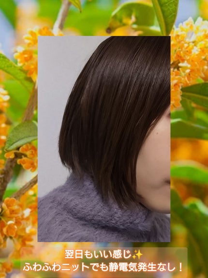 トラック オイル/track/ヘアオイルを使ったクチコミ(7枚目)