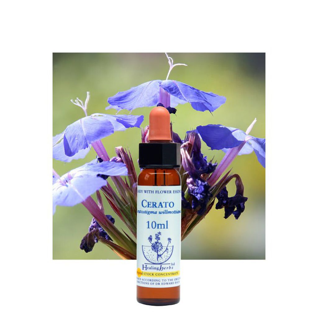 ヒーリングハーブフラワーエッセンス セラトー