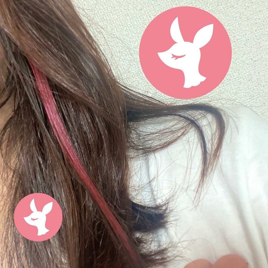 1DAY HAIR MONSTER/リーゼ/ヘアカラーを使ったクチコミ(9枚目)
