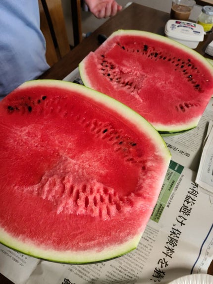 スーパーシカクッション/MEDICUBE/クッションファンデーションを使ったクチコミ(5枚目)