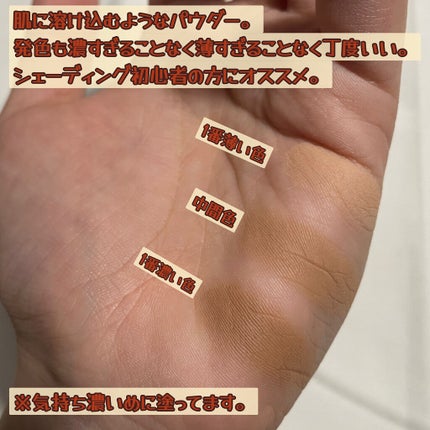 アートクラスバイロダン シェーディング/too cool for school/シェーディングを使ったクチコミ(3枚目)