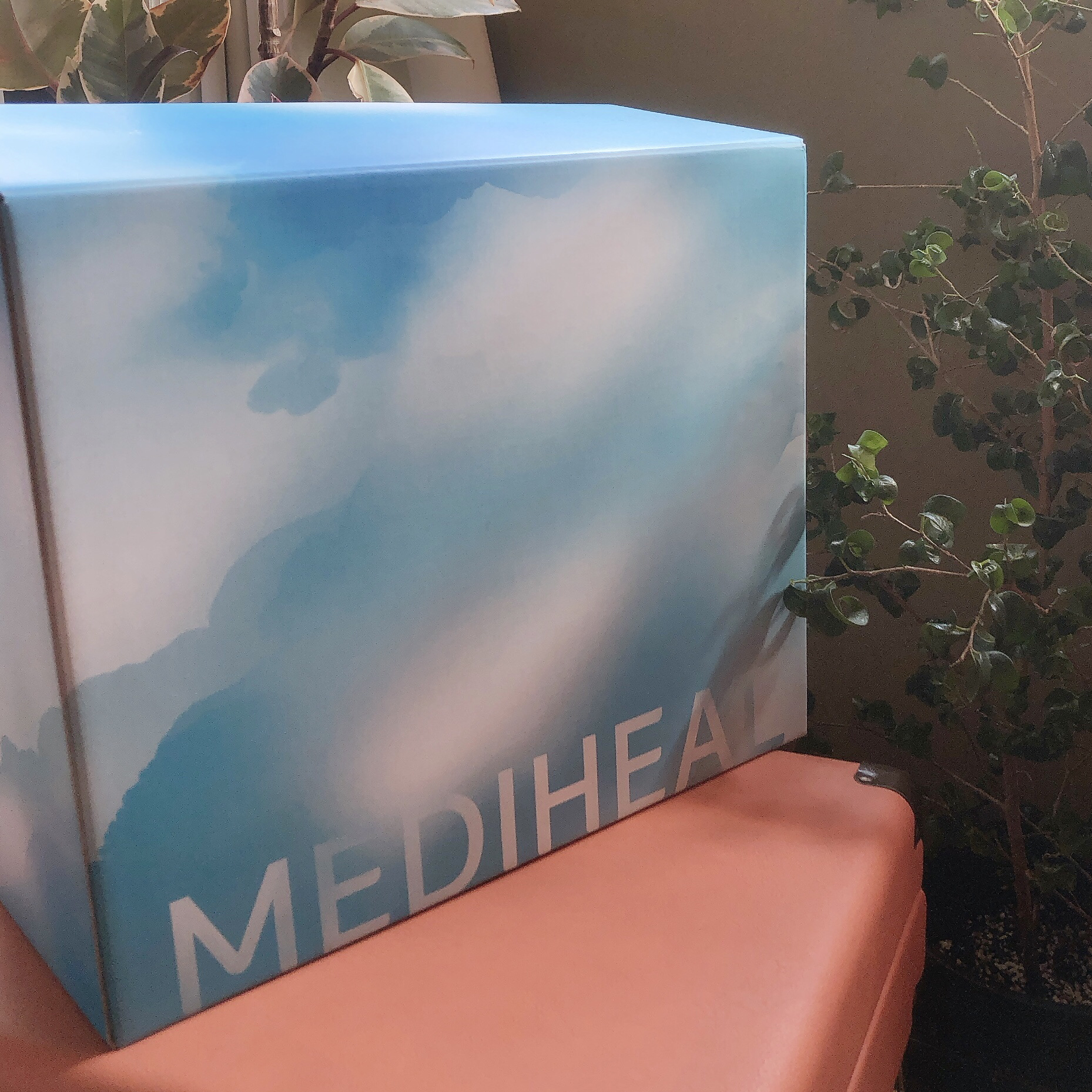 ティーツリー エッセンシャルマスクカーミングモイスチャー/MEDIHEAL/シートマスク・パックを使ったクチコミ（1枚目）