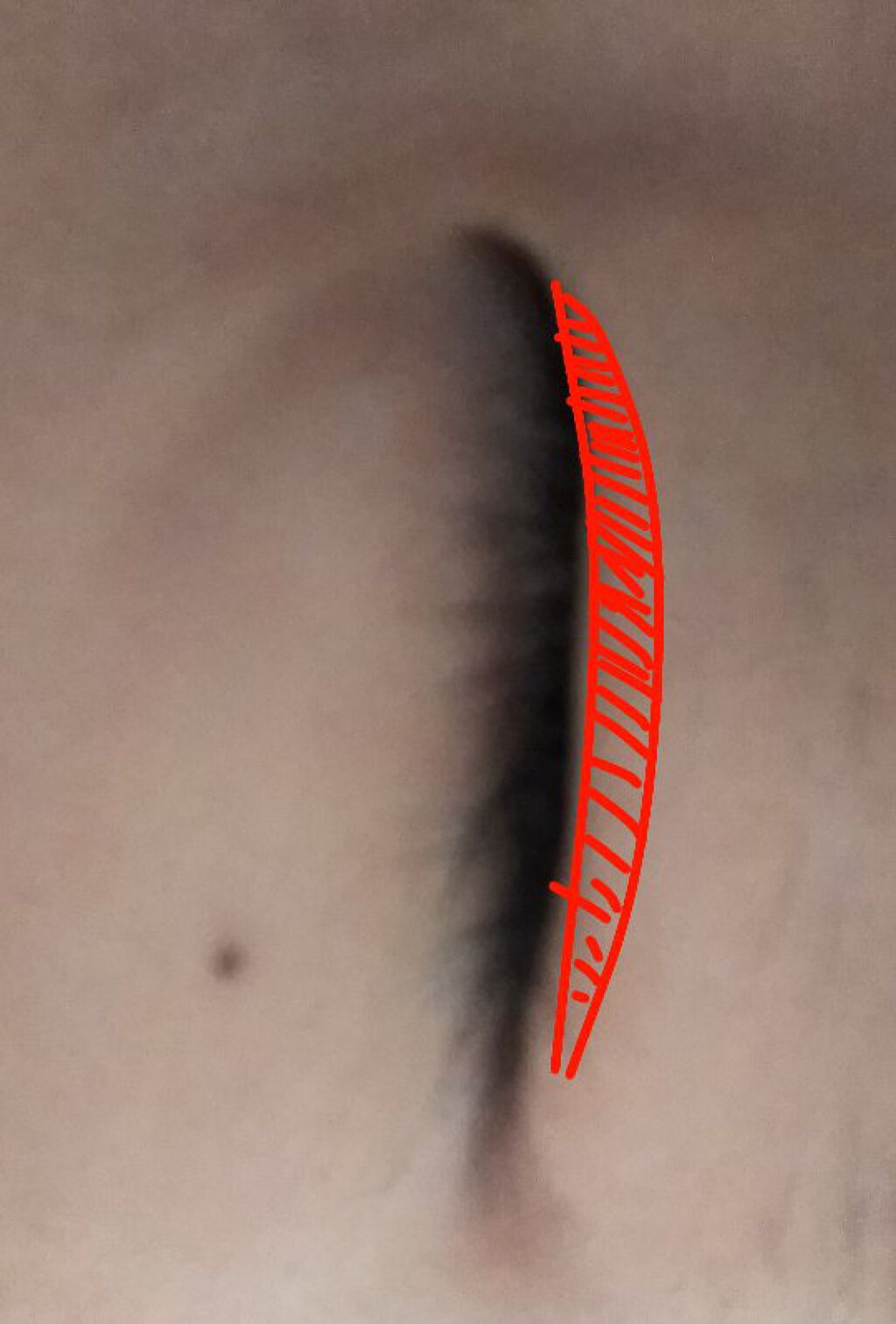 ハトムギ化粧水(ナチュリエ スキンコンディショナー R )/ナチュリエ/化粧水を使ったクチコミ(3枚目)