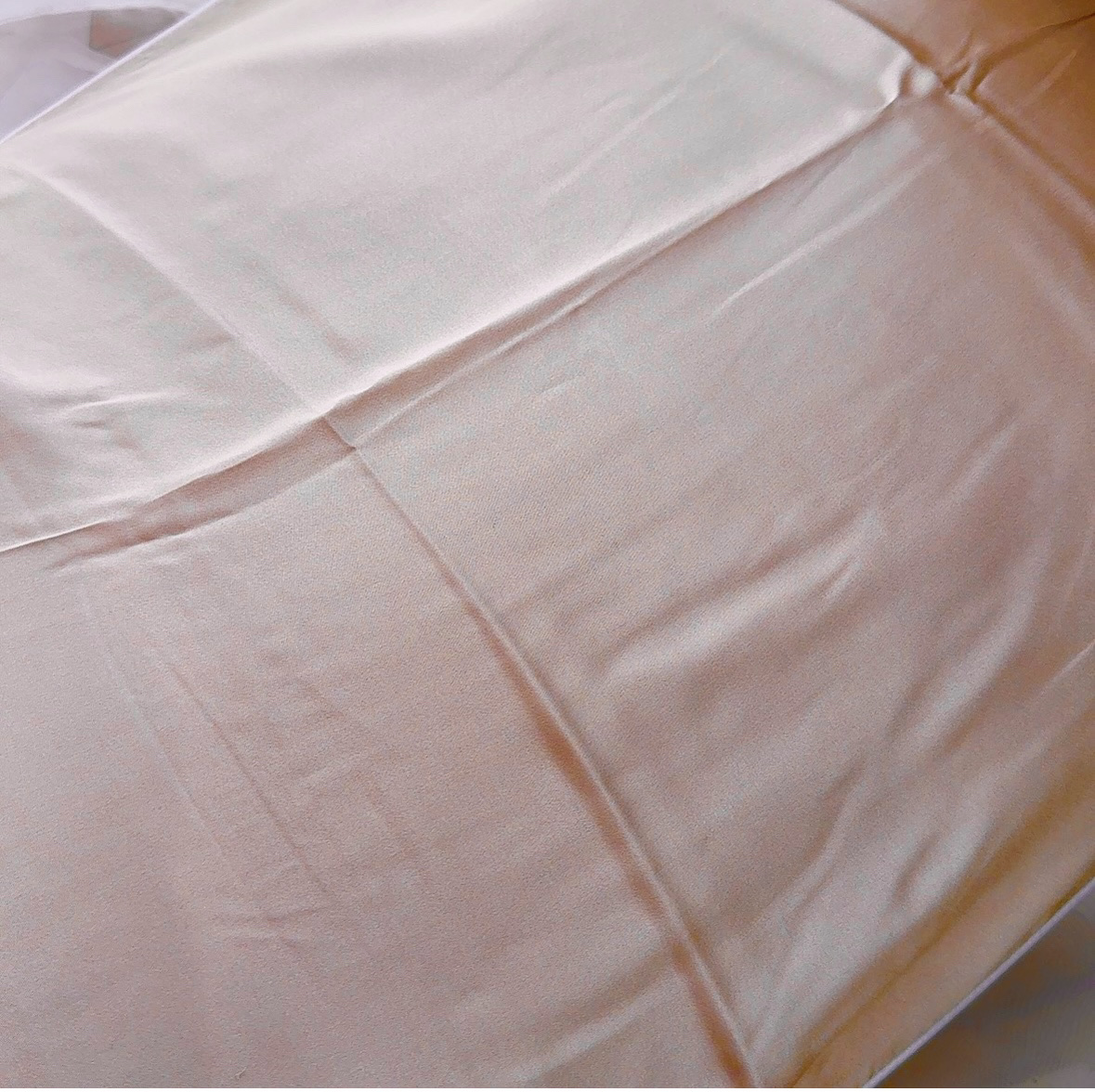 SEAWIND シルク枕カバー/SEAWIND/ヘアケアグッズを使ったクチコミ（3枚目）