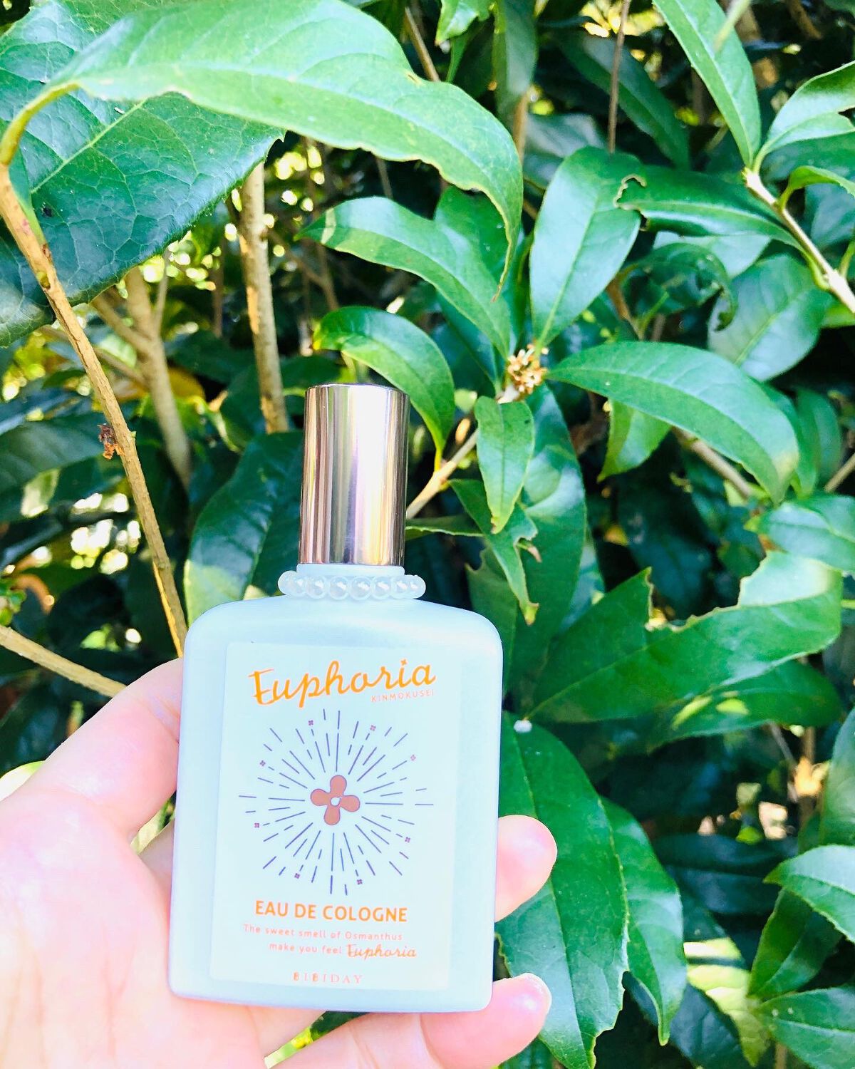 ユーフォリア・キンモクセイ コロン/BIBIDAY/香水(その他)を使ったクチコミ（1枚目）
