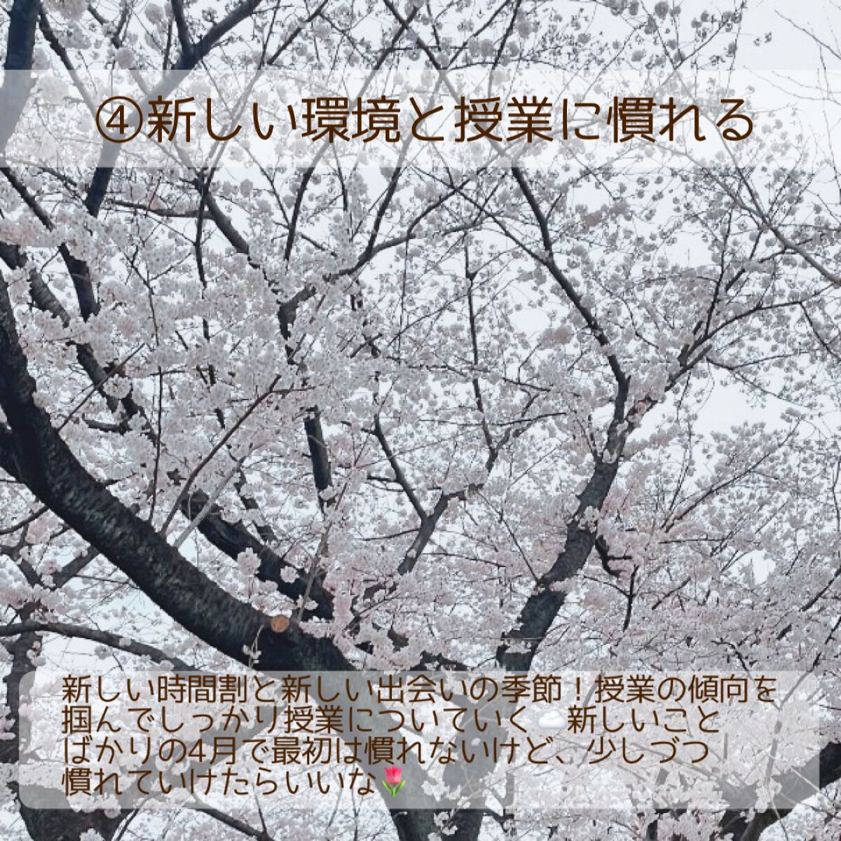 まな୨୧美容好き大学生の自分磨き記録 on LIPS 「今日は少し遅くなってしまったけど、私の4月の目標を紹介します🤍..」(5枚目)