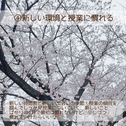まな୨୧美容好き大学生の自分磨き記録 on LIPS 「今日は少し遅くなってしまったけど、私の4月の目標を紹介します🤍..」(5枚目)