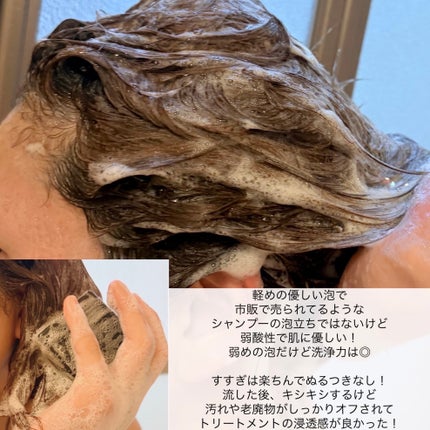 ヘアソープ ブラックビーン + チャコール/TOUN28/シャンプー・コンディショナーを使ったクチコミ(4枚目)