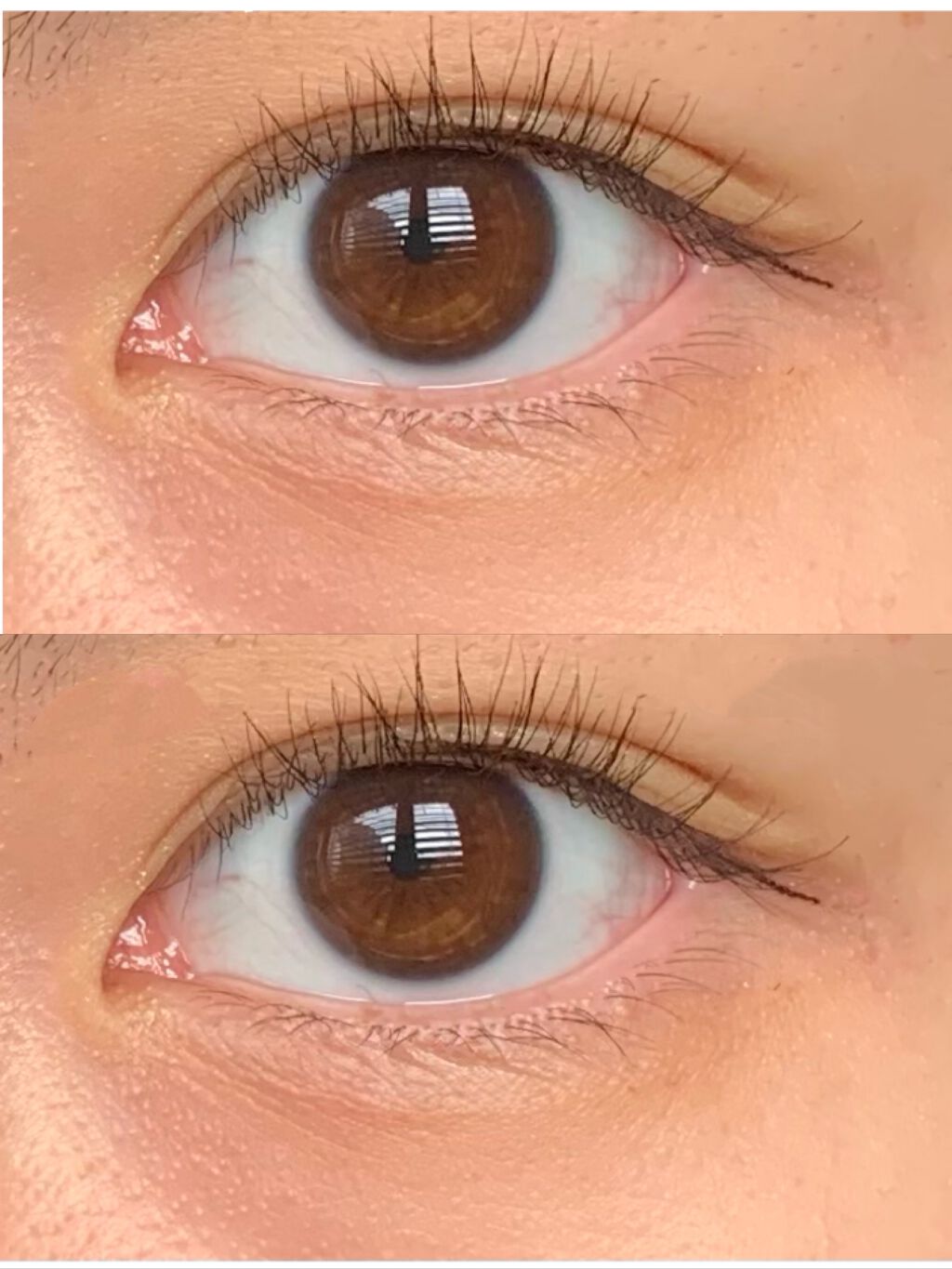 トーン ペタル アイシャドウ 06:ライムグリーン/to/one/アイシャドウパレットを使ったクチコミ（3枚目）