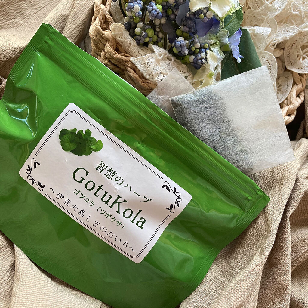 ゴツゴラティー / しまのだいち