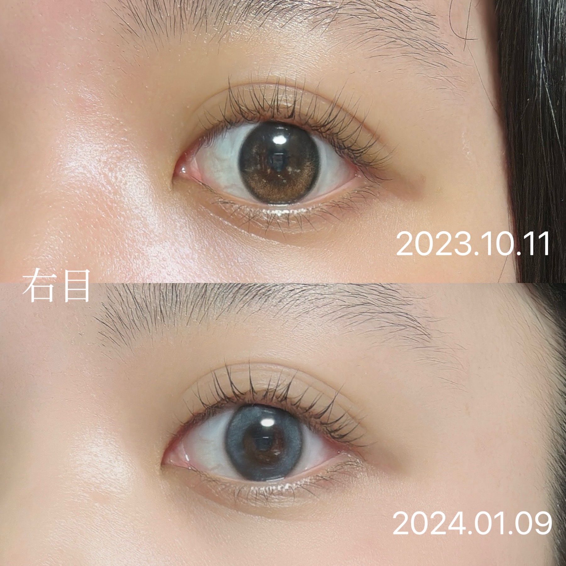 スカルプD ボーテ ピュアフリーアイラッシュセラム/アンファー(スカルプD)/まつげ美容液を使ったクチコミ（3枚目）