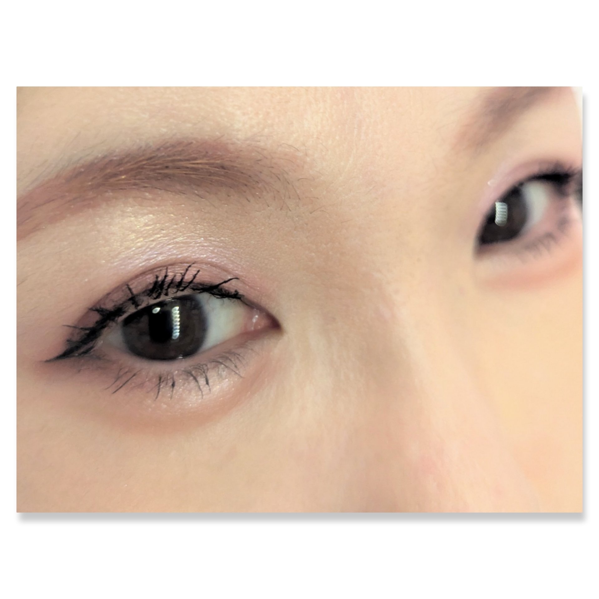 リアルクローズシャドウ CS07 フラワーバレッタ/excel/アイシャドウパレットを使ったクチコミ（2枚目）