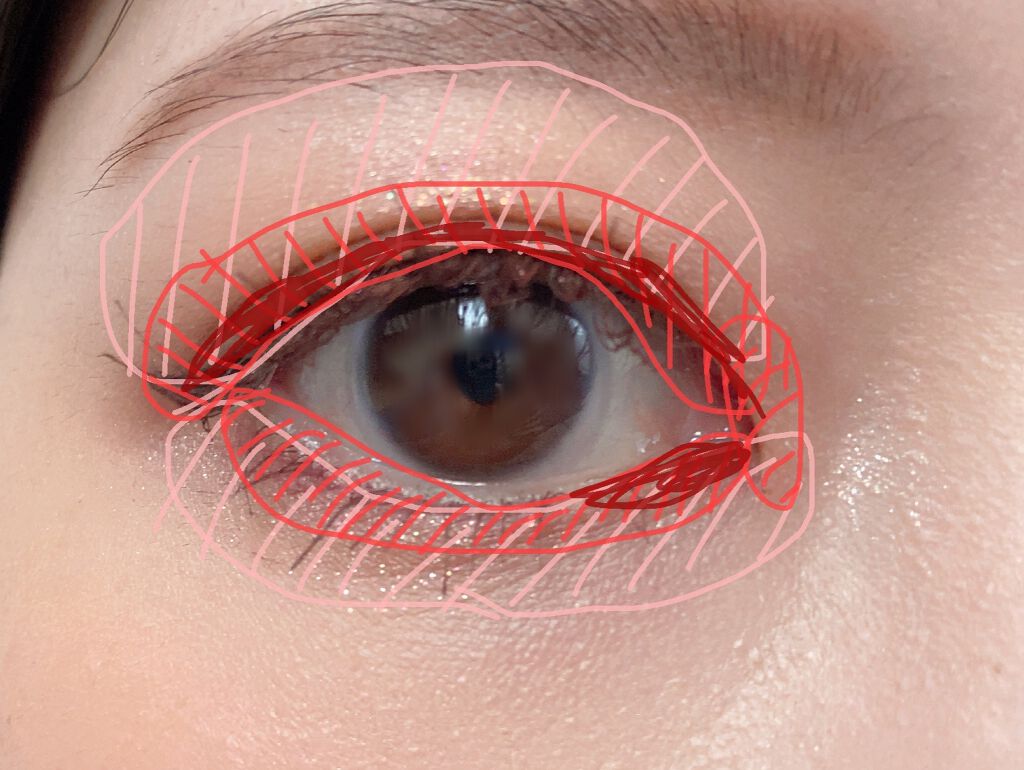 トーンアップアイシャドウ/CEZANNE/アイシャドウパレットを使ったクチコミ(5枚目)