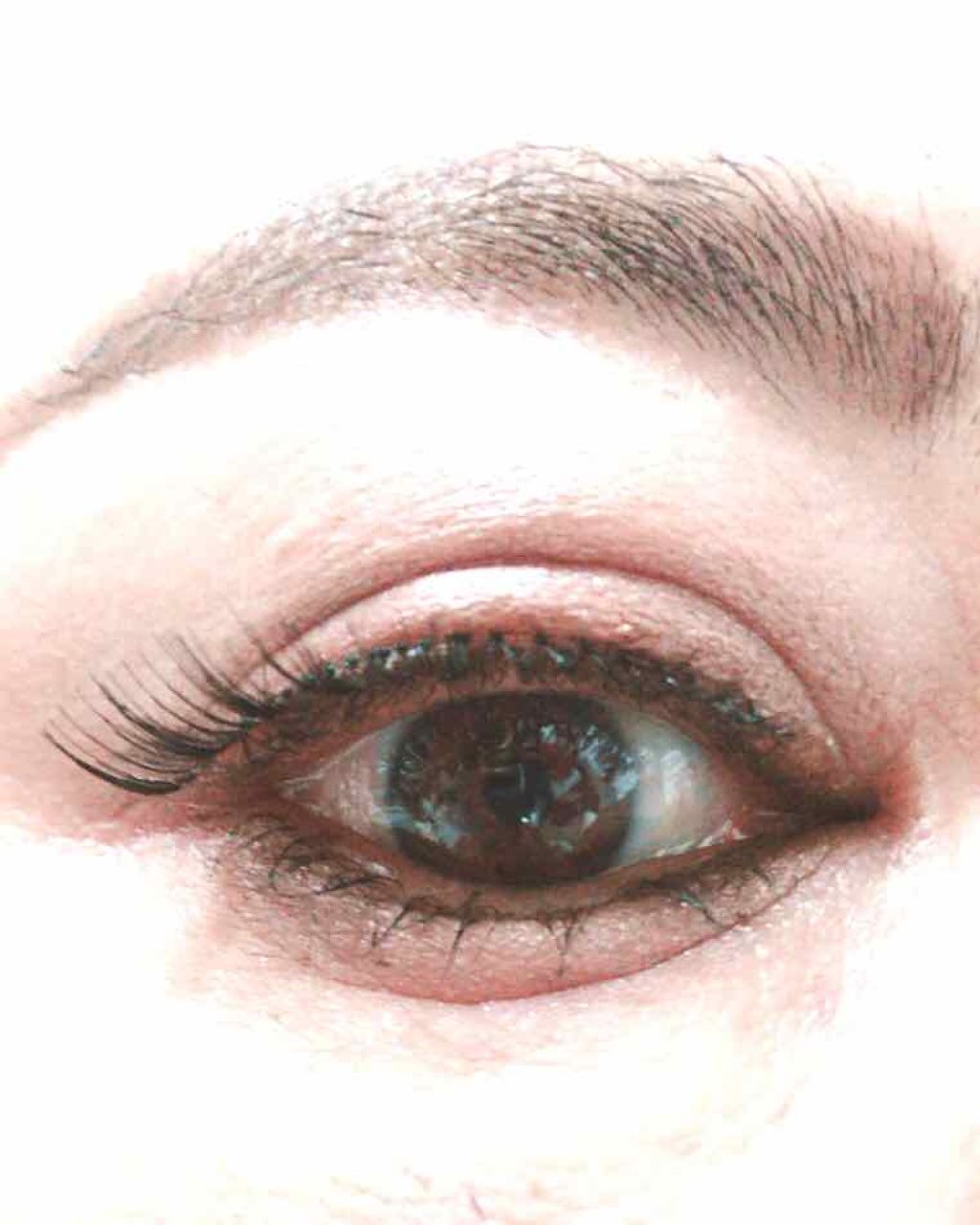つけまつげ/DAISO/つけまつげを使ったクチコミ(1枚目)