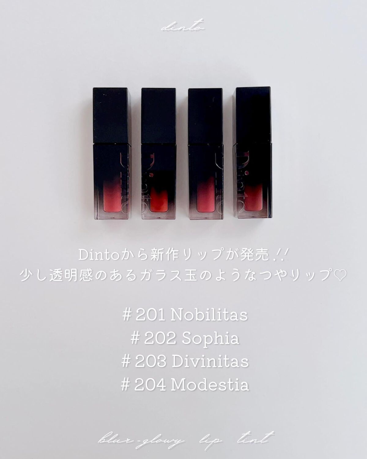 ブラーフィニシュリップティント/Dinto/リップティントを使ったクチコミ（2枚目）