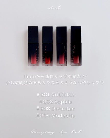 ブラーフィニシュリップティント/Dinto/リップティントを使ったクチコミ(2枚目)
