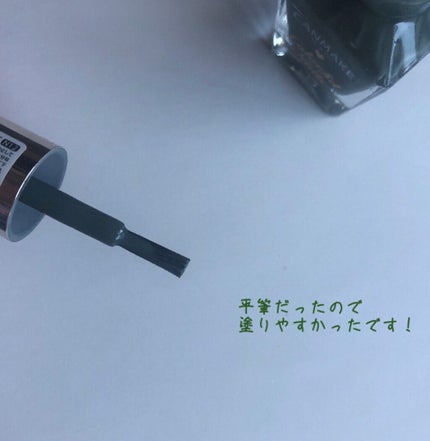 カラフルネイルズ/キャンメイク/マニキュアを使ったクチコミ(3枚目)