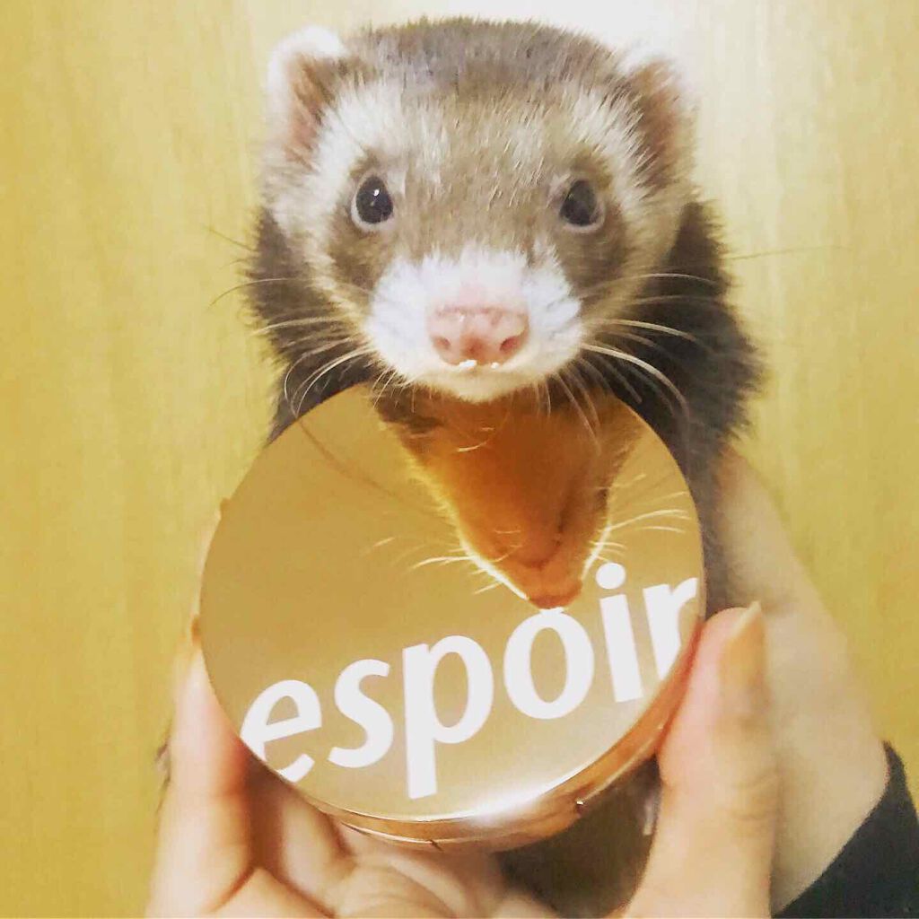 プロテーラービーグロウクッション(オールニュー)/espoir/クッションファンデーションを使ったクチコミ(1枚目)