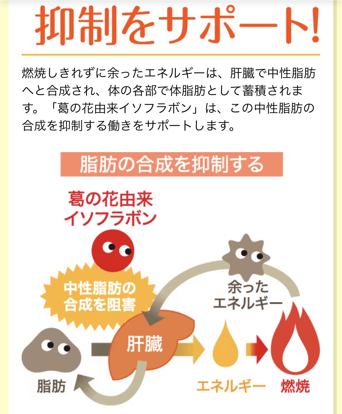 シボヘール/ハーブ健康本舗/健康サプリメントを使ったクチコミ（3枚目）