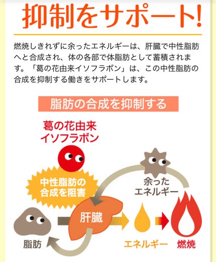 シボヘール/ハーブ健康本舗/健康サプリメントを使ったクチコミ(3枚目)