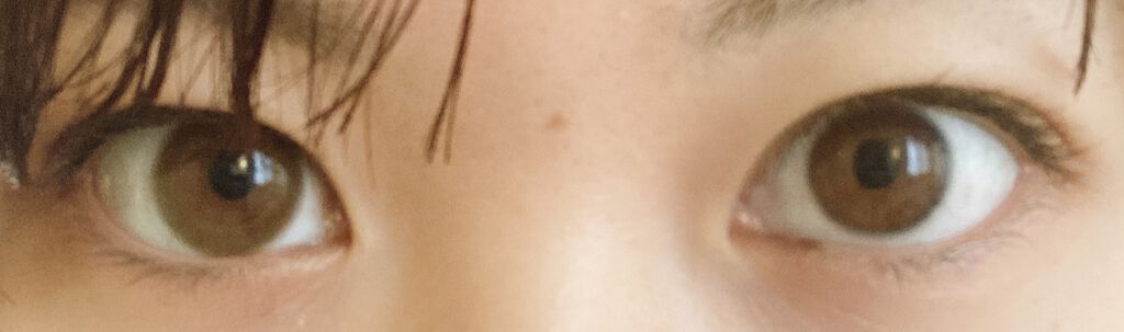 FLANMY 1day キナコロール/FLANMY/ワンデー（１DAY）カラコンを使ったクチコミ（3枚目）