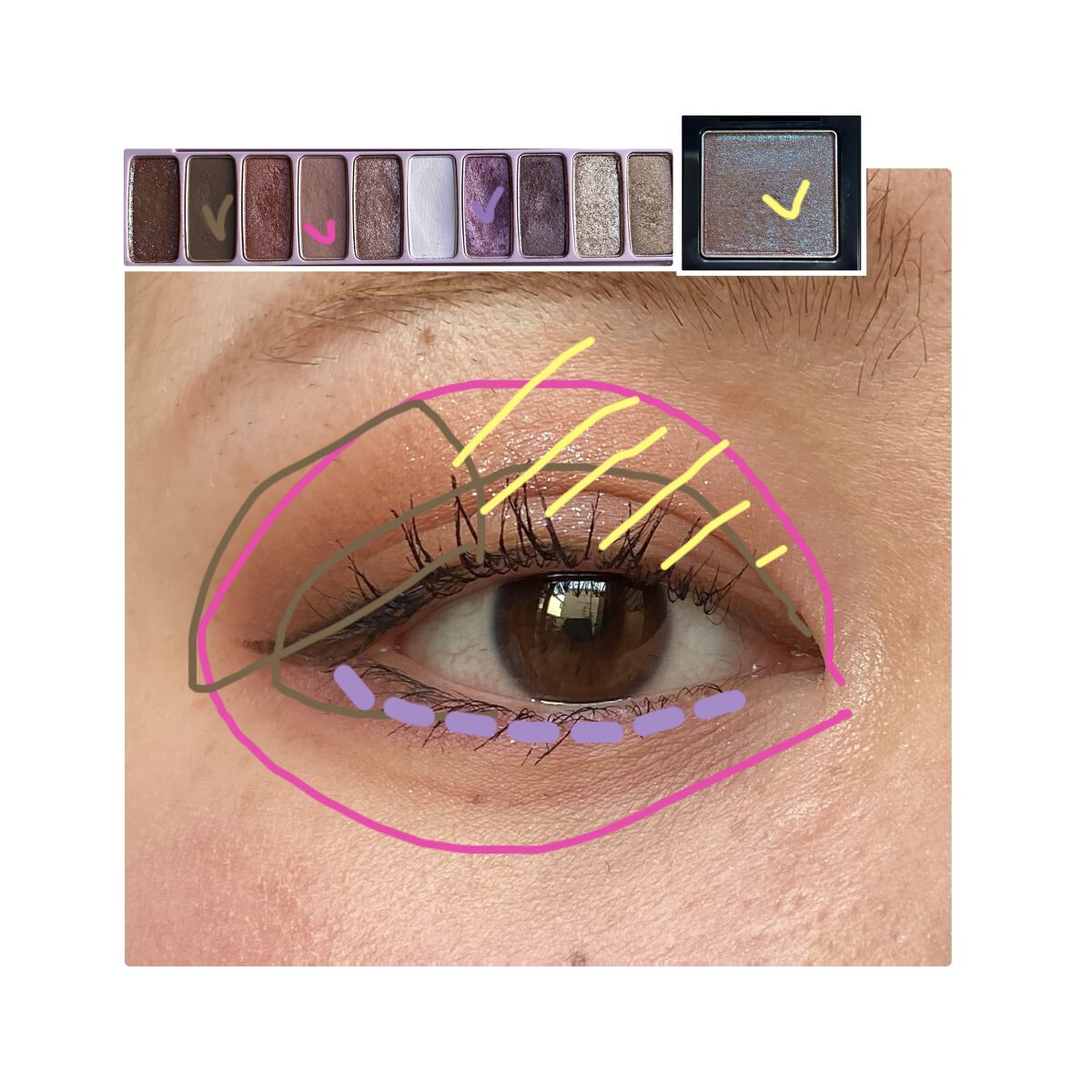 ラズル アイカラー/エレガンス ラズル /単色アイシャドウを使ったクチコミ（3枚目）