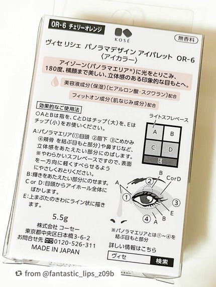 パノラマデザイン アイパレット/Visée/アイシャドウパレットを使ったクチコミ(8枚目)