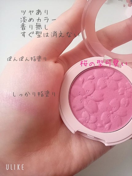 ピクニック ブロッサムチーク/ETUDE/パウダーチークを使ったクチコミ(2枚目)