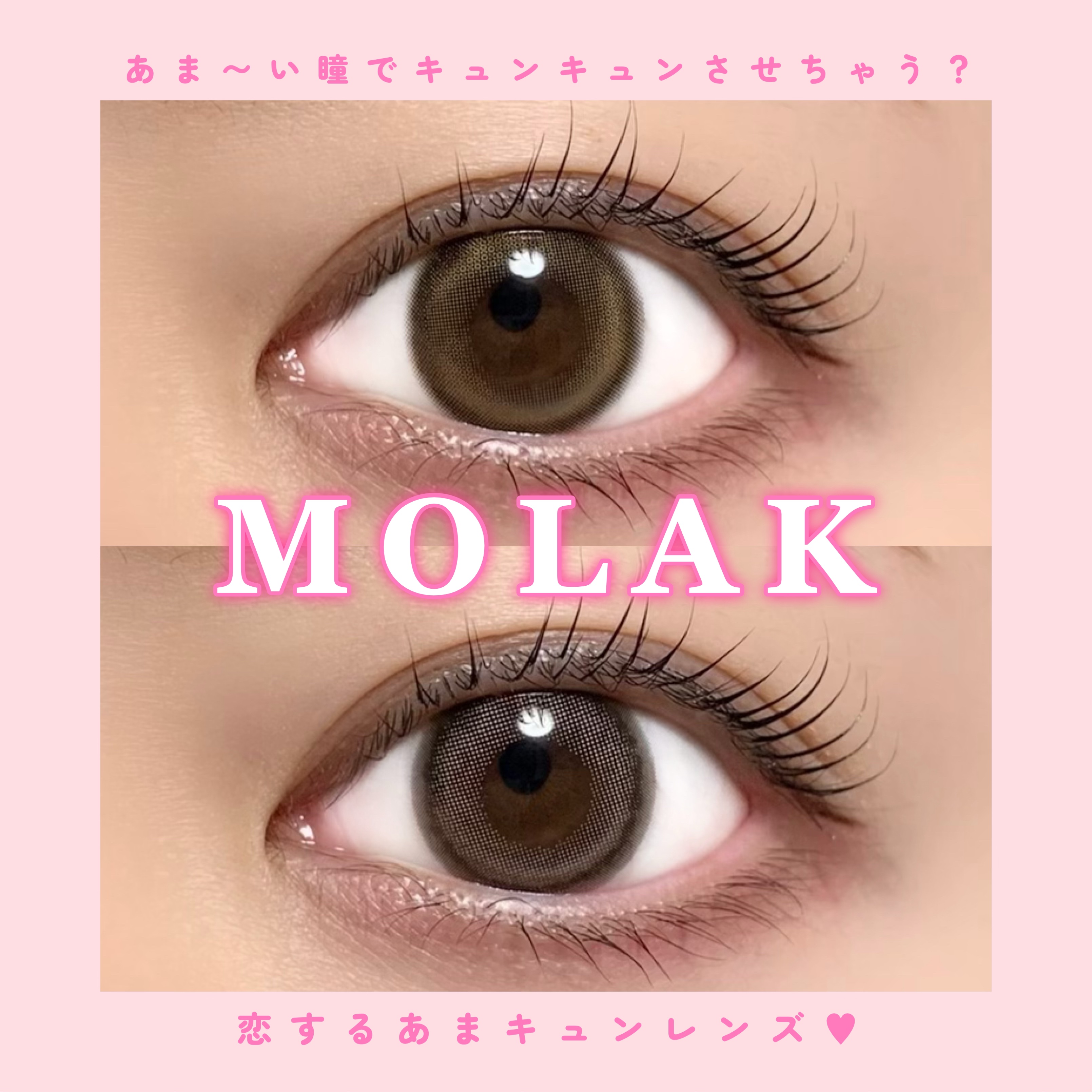 MOLAK 1day/MOLAK/ワンデー（１DAY）カラコンを使ったクチコミ（1枚目）