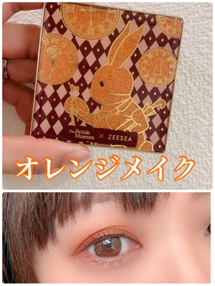 ドリームランドアイシャドウ ( 4シェード )/ZEESEA/アイシャドウパレットを使ったクチコミ(1枚目)