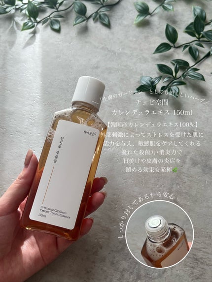 スキンケアトナー/CHAEB GONGGAN/化粧水を使ったクチコミ(2枚目)