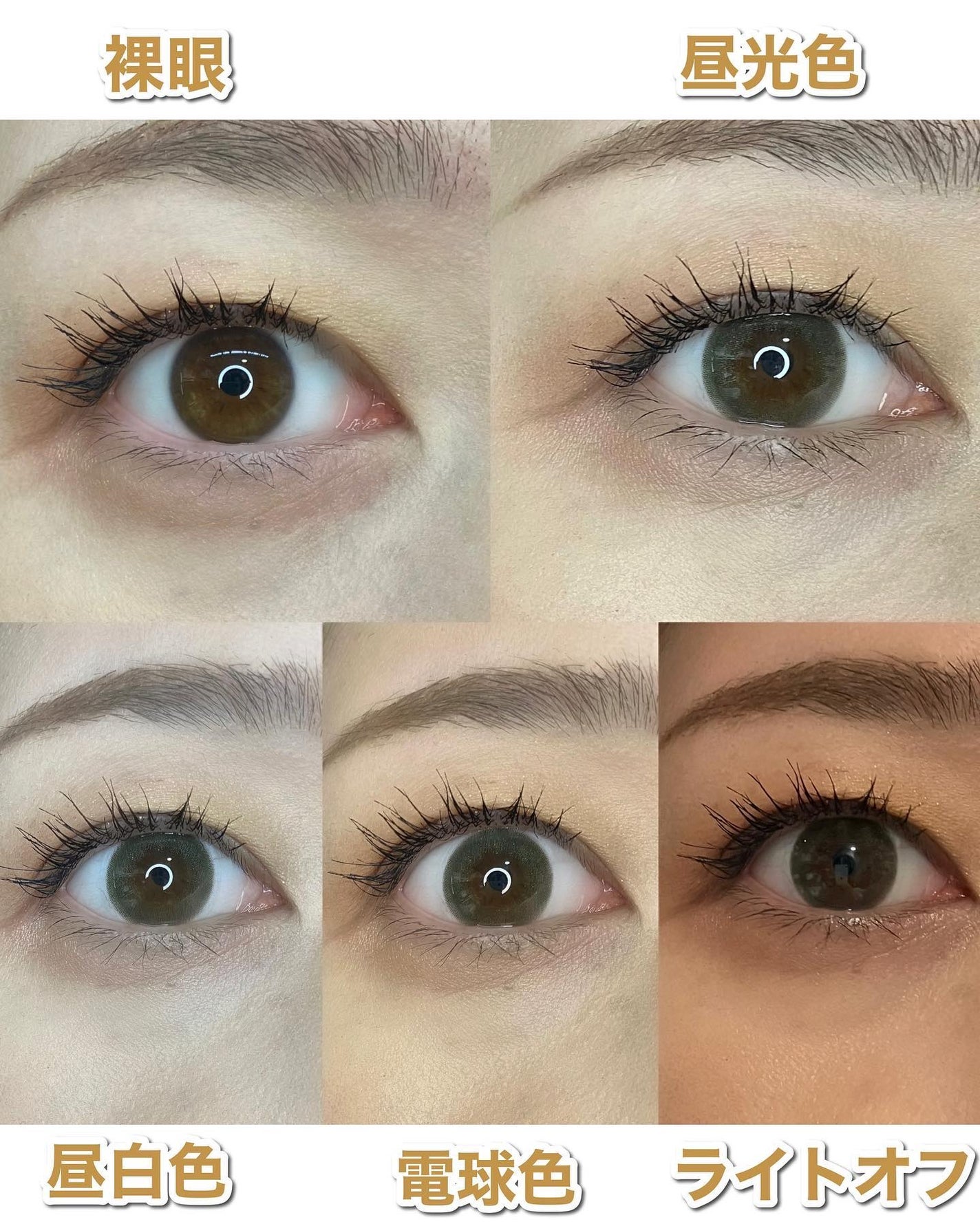 フェアリー ワンデー シマーリングシリーズ/FAIRY/ワンデー(1DAY)カラコンを使ったクチコミ(5枚目)