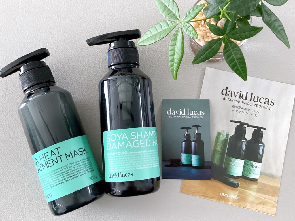 ソヤシャンプー ダメージヘア/David Lucas/シャンプー・コンディショナーを使ったクチコミ（1枚目）