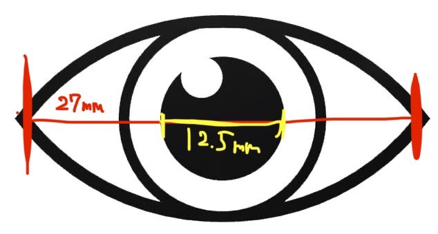 SCANDI 1day/OLENS/カラーコンタクトレンズを使ったクチコミ（2枚目）