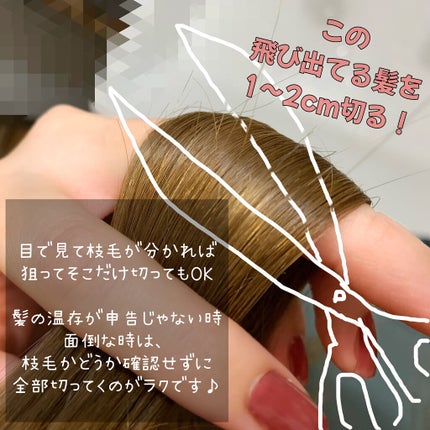 を使ったクチコミ(3枚目)