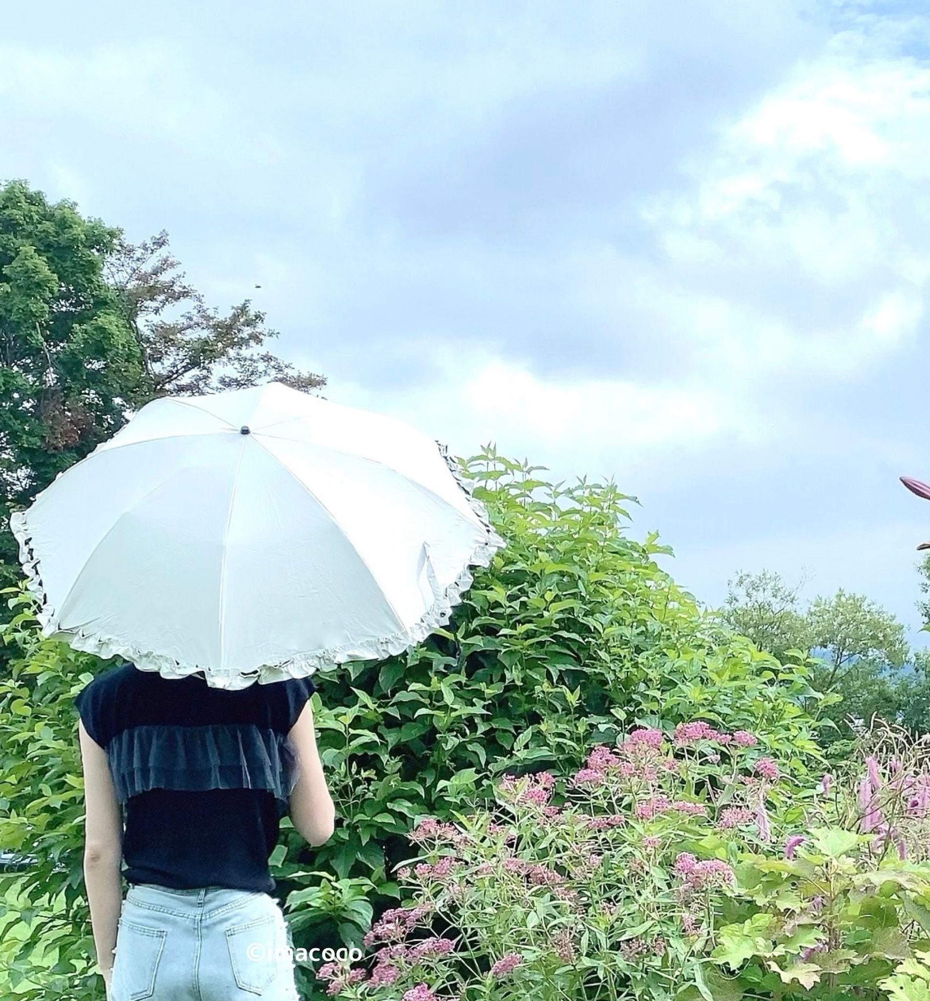 ALUCOOL 2段折りたたみ日傘 フレル/帽子屋 Loo＆c/日傘を使ったクチコミ（3枚目）