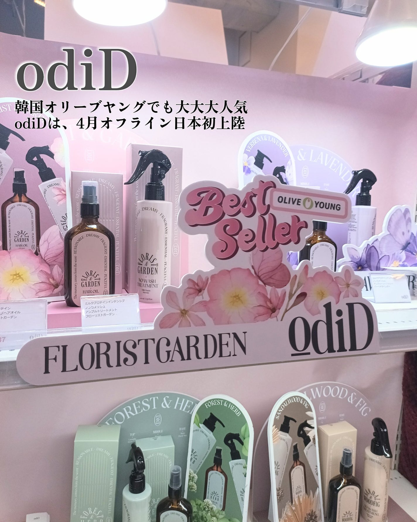 センテラ アンプル/SKIN1004/美容液を使ったクチコミ(3枚目)