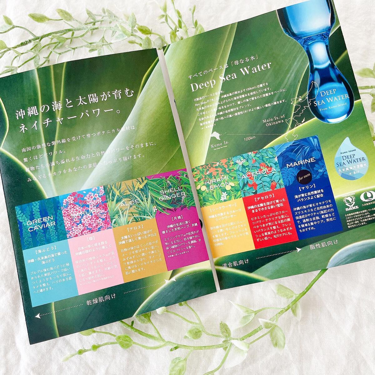 Ryu Spa Botanical フェイスマスク アロエ/Ryu Spa/シートマスク・パックを使ったクチコミ(6枚目)