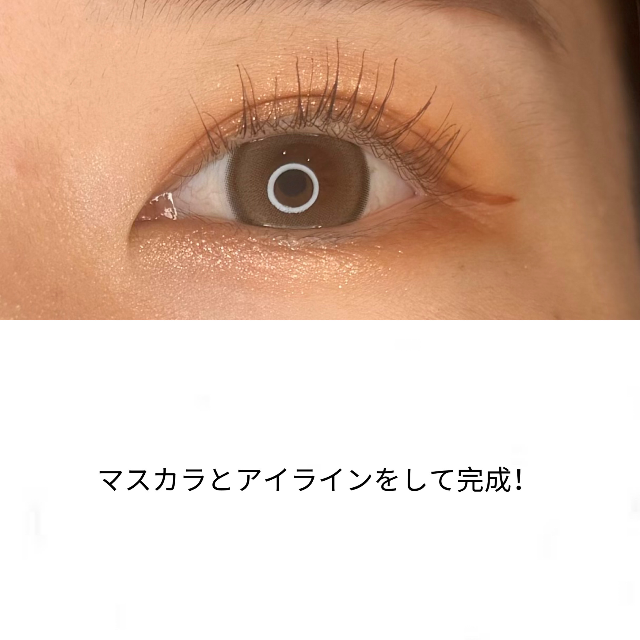 20th アニバーサリー アイ＆ブラッシュ コンパクト/SUQQU/アイシャドウパレットを使ったクチコミ（3枚目）