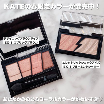 エレクトリックショックアイズ /KATE/アイシャドウパレットを使ったクチコミ(2枚目)