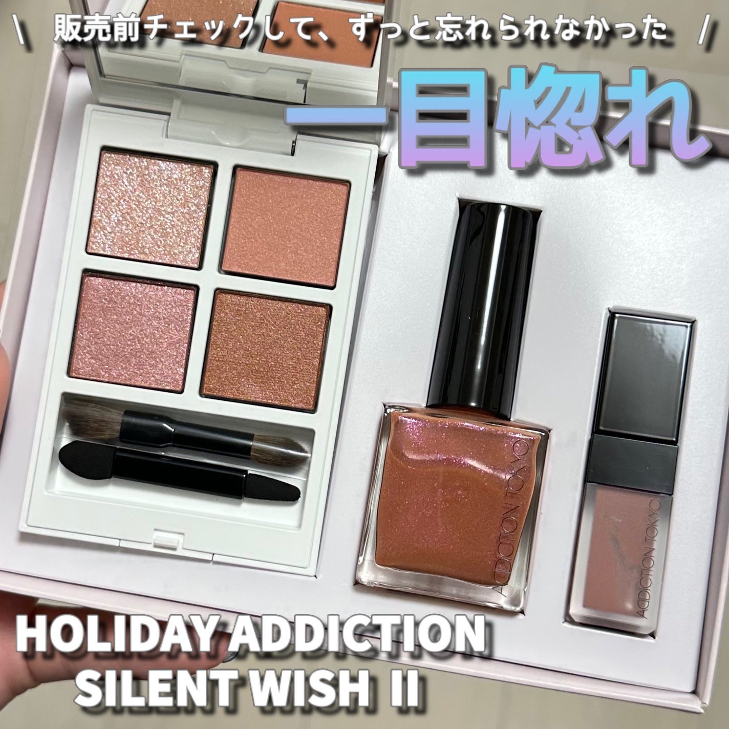 ホリデー アディクション サイレント ウィッシュⅡ /ADDICTION/メイクアップキットを使ったクチコミ(1枚目)