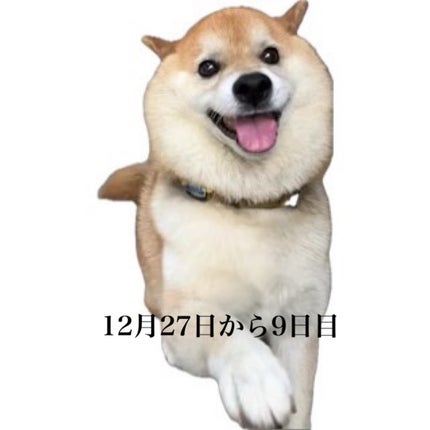 ã䜿ã£ãã¯ãã³ãïŒ1æç®ïŒ
