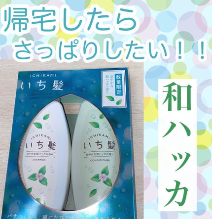 いち髪 シャンプー&コンディショナー(涼やかな和ハッカの香り)/いち髪/市販シャンプーを使ったクチコミ(1枚目)