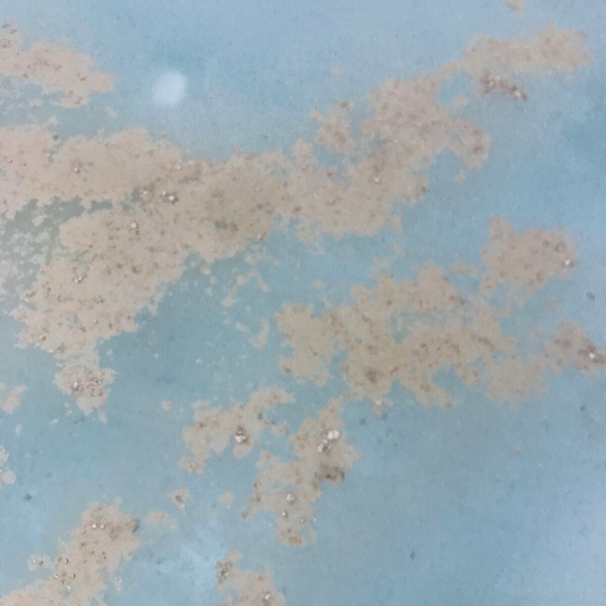 CLAYD for Bath/CLAYD JAPAN/保湿系入浴剤を使ったクチコミ(3枚目)