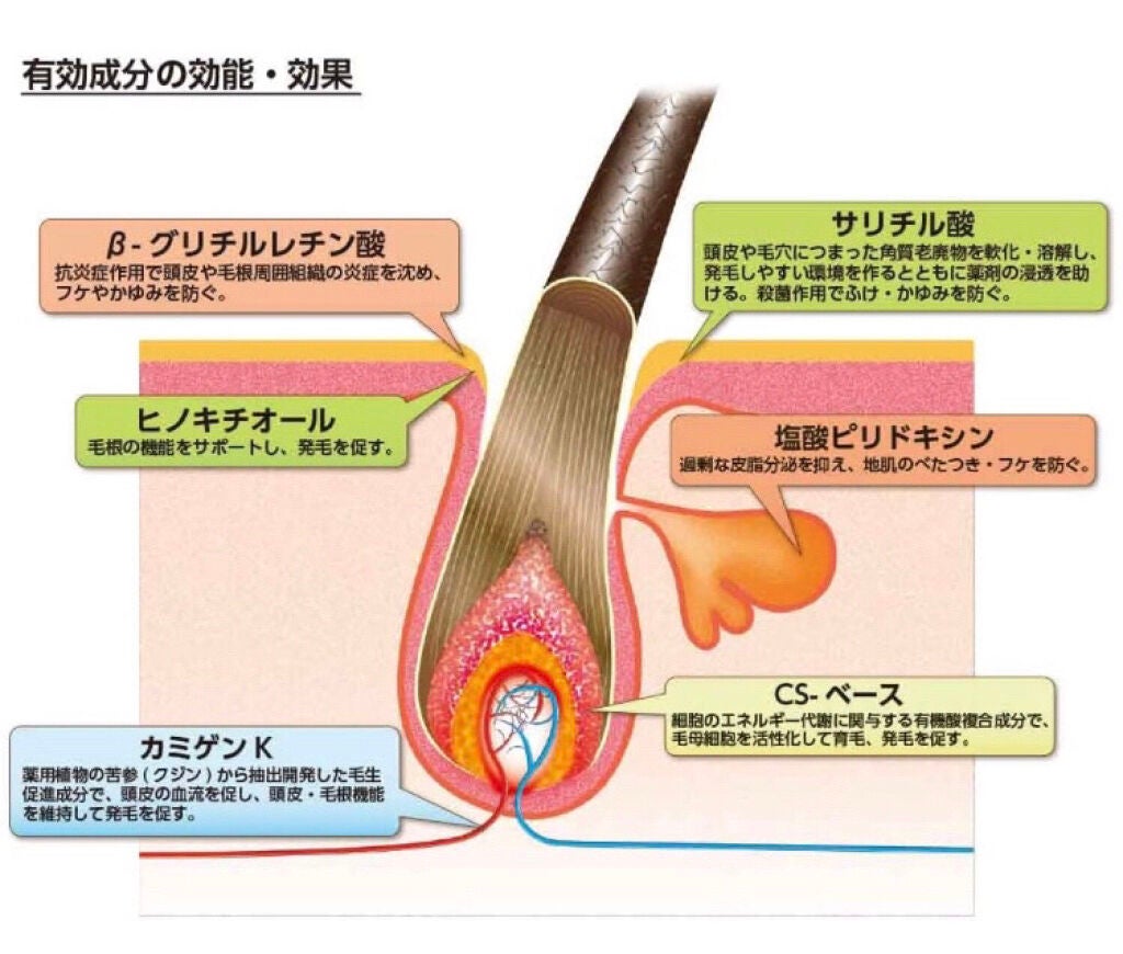ヘアアクセルレーター レモンライムの香り/加美乃素本舗/頭皮ローションを使ったクチコミ(4枚目)