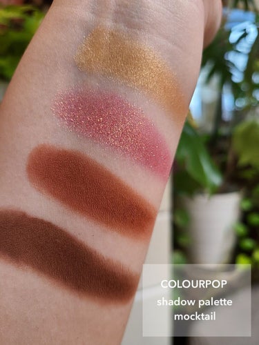 shadow palette /ColourPop/アイシャドウパレットを使ったクチコミ（2枚目）