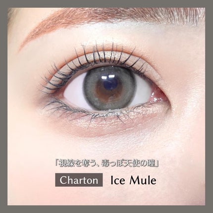 Charton 1day/Charton/ワンデー(1DAY)カラコンを使ったクチコミ(7枚目)