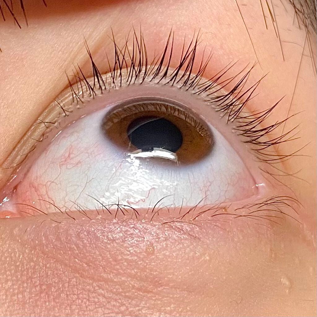 まつげ美容液EX/CEZANNE/まつげ美容液を使ったクチコミ(3枚目)