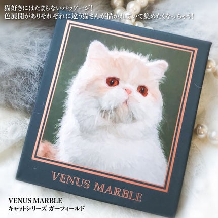 Venus Marble アイシャドウキャットシリーズ/Venus Marble/アイシャドウパレットを使ったクチコミ(6枚目)